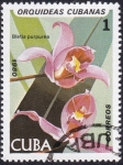 Stamps Cuba -  Bletia purpurea
