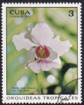 Stamps Cuba -  Vanda miss. joaquín