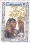 Stamps Cuba -   pitheconthropus erectus