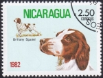 Sellos de America - Nicaragua -  Brittany Spaniel