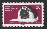 Stamps Germany -  553 - Centenario del Zoo de Dresden (DDR)