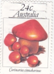 Sellos de Oceania - Australia -  SETAS