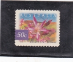 Sellos del Mundo : Oceania : Australia : flor del desierto