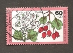 Stamps Germany -  INTERCAMBIO