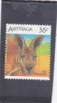 Stamps : Oceania : Australia :  KANGURO ROJO