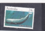 Stamps Australia -  cachalote