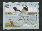 Stamps Russia -  8001 - Grulla de Siberia