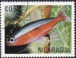 Sellos de America - Nicaragua -  Cheirodon axelrodi