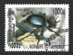Stamps Cambodia -  1934 - Escarabajo de las Bodegas