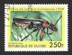 Sellos del Mundo : Africa : Guinea : Yt 1255P - Escarabajo Soldado