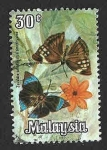Sellos de Asia - Malasia -  67 - Mariposa Saturno