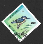 Stamps Belarus -  77 - Martín Pescador