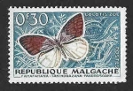 Sellos del Mundo : Africa : Madagascar : 306 - Colotis Zoe