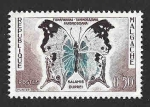 Sellos de Africa - Madagascar -  308 - Salamis Duprei