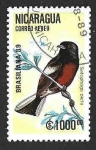 Stamps Nicaragua -  C1175 - Colirrojo Pintado