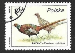 Stamps Poland -  2722 - Faisán Común