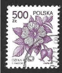 Sellos de Europa - Polonia -  2920 - Rosa Silvestre