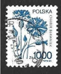 Stamps Poland -  2921 - Flor de Maíz Azul