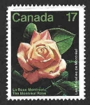 Sellos de America - Canad� -  896 - Rosa de Montreal