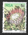 Stamps South Africa -  479 - Protea Rey