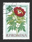Stamps Romania -  1461 - Paeonia