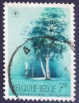 Stamps Belgium -  Arbol