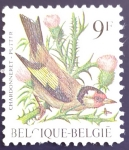 Stamps Belgium -  Jilguero