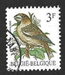 Stamps Belgium -  1219 - Pico Gordo Común