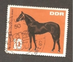 Sellos de Europa - Alemania -  CAMBIADO CR