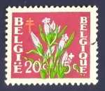 Stamps : Europe : Belgium :  RESERVADO MANUEL BRIONES