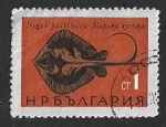 Stamps Bulgaria -  1403 - Peces del Mar Negro