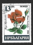Sellos de Europa - Bulgaria -  3076 - Rosa