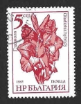 Stamps Bulgaria -  3105 - Gladiolo