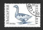 Stamps Bulgaria -  3582 - Animales de Granja