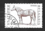 Stamps Bulgaria -  3584 - Animales de Granja