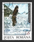 Sellos de Europa - Rumania -  3782 - Águila Calva