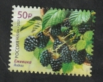 Stamps Russia -  Fruta, arándanos