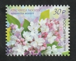 Stamps Russia -  7914 - Flores