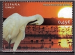 Stamps  -  -  España