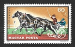 Stamps Hungary -  2098 - Deportes Ecuestres