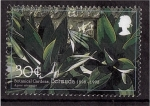 Stamps Bermuda -  Centenario jardines bótanicos