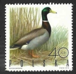 Stamps Poland -  1720 - Aves de Caza