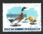 Stamps North Korea -  1419 - Aves de corral