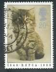 Stamps United Kingdom -  Gato