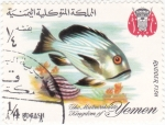 Stamps Yemen -  PEZ