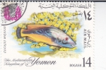 Stamps : Asia : Yemen :  PEZ