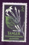 Stamps Morocco -  Flor5