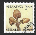 Stamps : Europe : Belarus :  42 - Cerámica