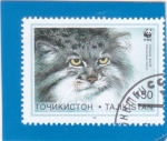 Sellos del Mundo : Asia : Tajikistan : GATO