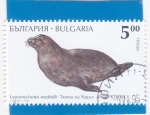 Stamps Bulgaria -  MORSA